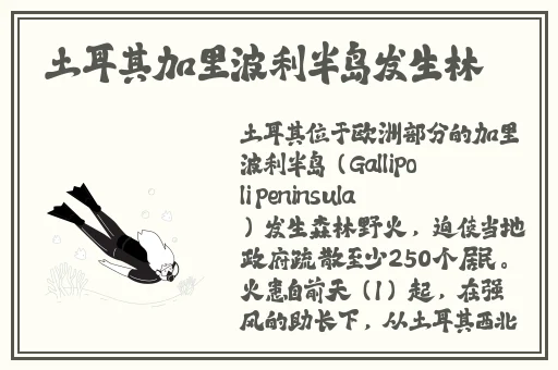网曝吃瓜女神反差